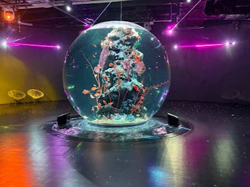 AQUARIUM × ART　atoaに投稿された画像（2025/6/5）