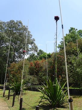 名古屋市東山動植物園に投稿された画像（2025/6/5）