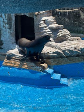 名古屋市東山動植物園に投稿された画像（2025/6/5）