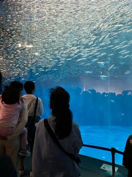 名古屋港水族館に投稿された画像（2025/6/5）