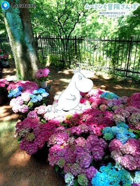 ムーミンバレーパークに投稿された画像（2025/6/5）