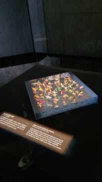 広島平和記念資料館に投稿された画像（2025/6/5）