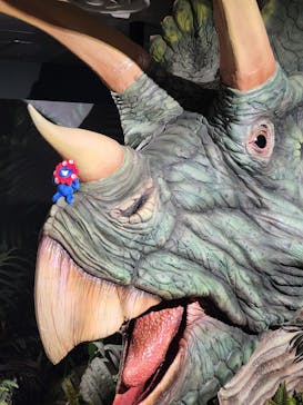 海洋堂ホビーランドに投稿された画像（2025/6/5）