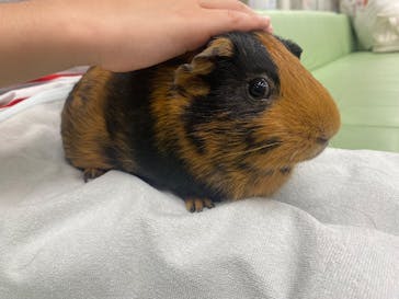 恩賜上野動物園に投稿された画像（2025/6/5）