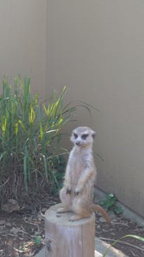 こども動物自然公園（埼玉県公園緑地協会）に投稿された画像（2025/6/5）