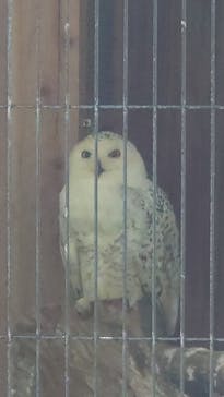 こども動物自然公園（埼玉県公園緑地協会）に投稿された画像（2025/6/5）