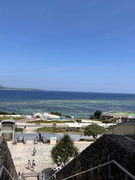 沖縄美ら海水族館に投稿された画像（2025/6/5）