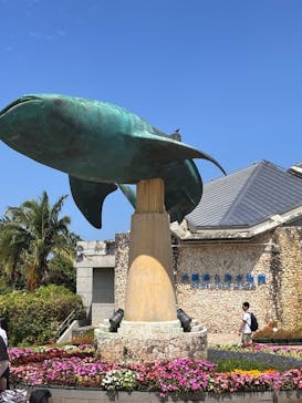 沖縄美ら海水族館に投稿された画像（2025/6/5）