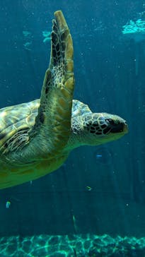 箱根園水族館に投稿された画像（2025/6/5）