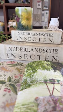 SEASON（シーズン）に投稿された画像（2025/6/5）