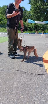 おさるランド＆アニタウン　日光さる軍団劇場に投稿された画像（2025/6/5）