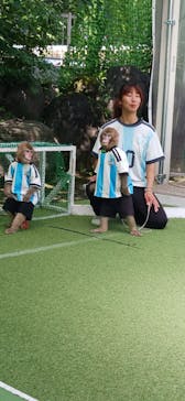 おさるランド＆アニタウン　日光さる軍団劇場に投稿された画像（2025/6/5）