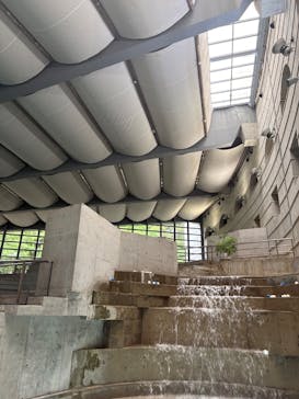 リゾナーレ八ヶ岳 イルマーレに投稿された画像（2025/6/5）