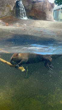 那須どうぶつ王国に投稿された画像（2025/6/5）