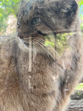 那須どうぶつ王国に投稿された画像（2025/6/5）