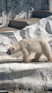 恩賜上野動物園に投稿された画像（2025/6/5）