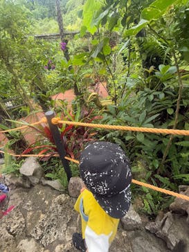御菓子御殿　名護店　やんばる亜熱帯の森DINO恐竜PARKに投稿された画像（2025/6/5）