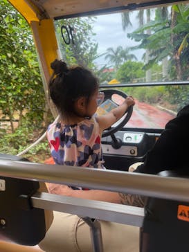 ナゴパイナップルパークに投稿された画像（2025/6/5）