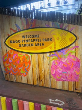 ナゴパイナップルパークに投稿された画像（2025/6/5）