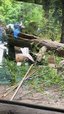 恩賜上野動物園に投稿された画像（2025/6/5）