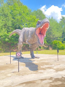 福井県立恐竜博物館に投稿された画像（2025/6/6）