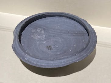 特別展「古代DNA－日本人のきた道」（国立科学博物館）に投稿された画像（2025/6/6）