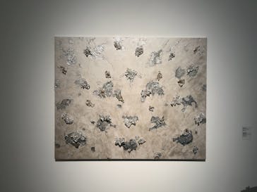 金沢21世紀美術館に投稿された画像（2025/6/6）