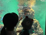 葛西臨海水族園に投稿された画像（2025/6/6）