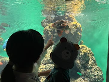葛西臨海水族園に投稿された画像（2025/6/6）