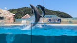 下田海中水族館に投稿された画像（2025/6/6）