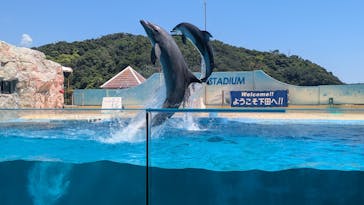 下田海中水族館に投稿された画像（2025/6/6）
