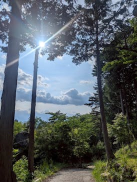 昇仙峡ロープウェイに投稿された画像（2025/6/6）