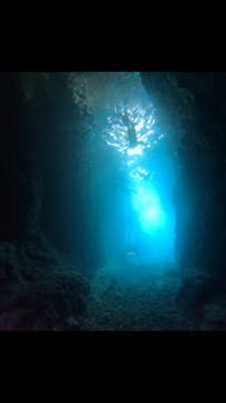 武藤潜水に投稿された画像（2025/6/6）