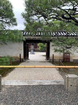 元離宮二条城に投稿された画像（2025/6/6）