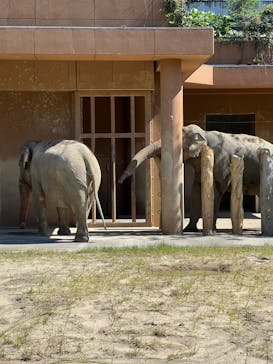 名古屋市東山動植物園に投稿された画像（2025/6/6）