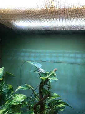 名古屋市東山動植物園に投稿された画像（2025/6/6）