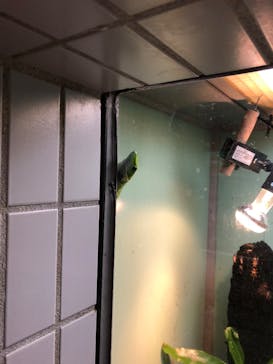 名古屋市東山動植物園に投稿された画像（2025/6/6）