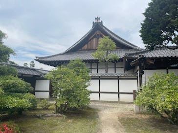 元離宮二条城に投稿された画像（2025/6/6）