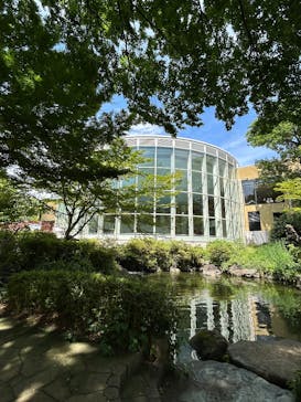 豊島園 庭の湯に投稿された画像（2025/6/6）