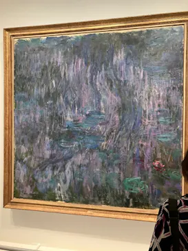 モネ　睡蓮のときに投稿された画像（2025/6/6）