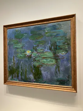 モネ　睡蓮のときに投稿された画像（2025/6/6）