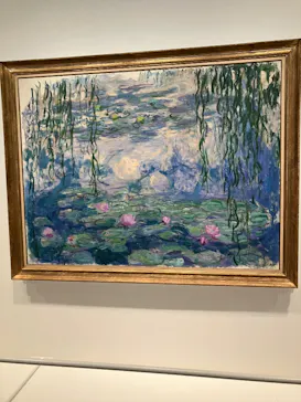 モネ　睡蓮のときに投稿された画像（2025/6/6）