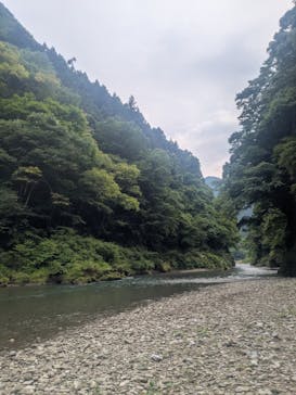 ぼちぼちアドベンチャーすそのに投稿された画像（2025/6/6）