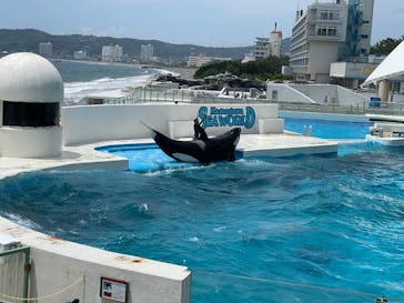 鴨川シーワールドに投稿された画像（2025/6/6）