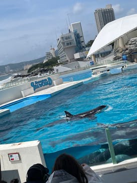 鴨川シーワールドに投稿された画像（2025/6/6）