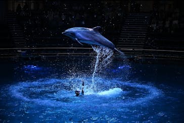 マクセル アクアパーク品川に投稿された画像（2025/6/6）