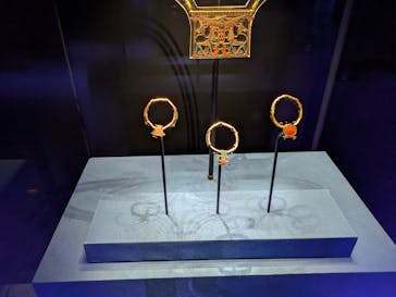 ACN ラムセス大王展 ファラオたちの黄金に投稿された画像（2025/6/6）