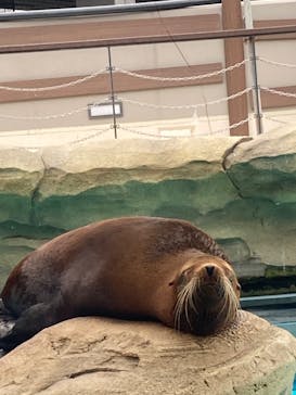 天王寺動物園に投稿された画像（2025/6/6）