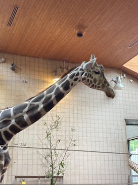 天王寺動物園に投稿された画像（2025/6/6）