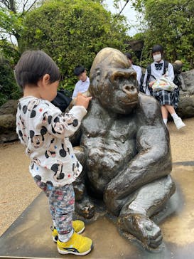 恩賜上野動物園に投稿された画像（2025/6/6）